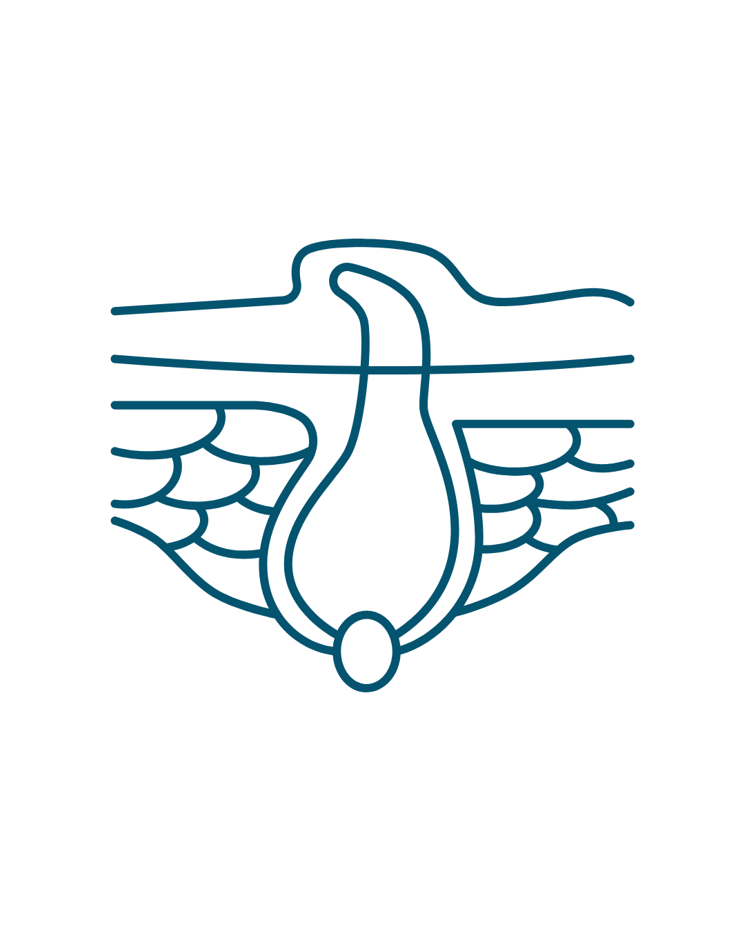 seborrheic keratosis