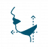 CHIN LIPOSUCTION_ICON